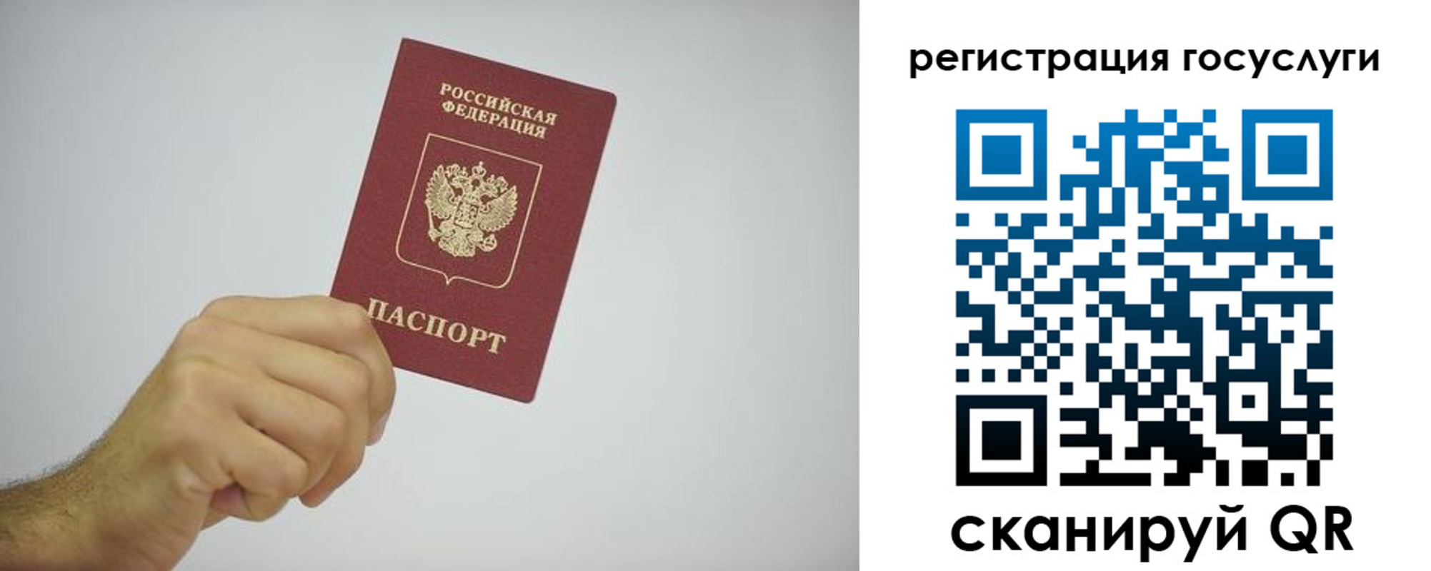 временная регистрация гарантия в Дорогобуже